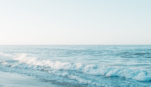 西緒りり：高校はどこ？身長等wikiプロフィールも気になる！